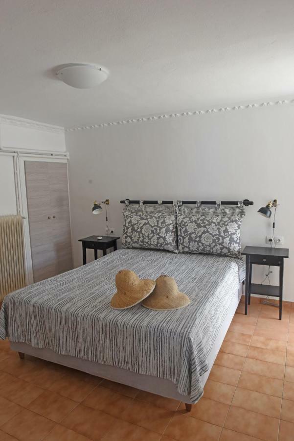 Villa Mare Vista Evdilos  Esterno foto